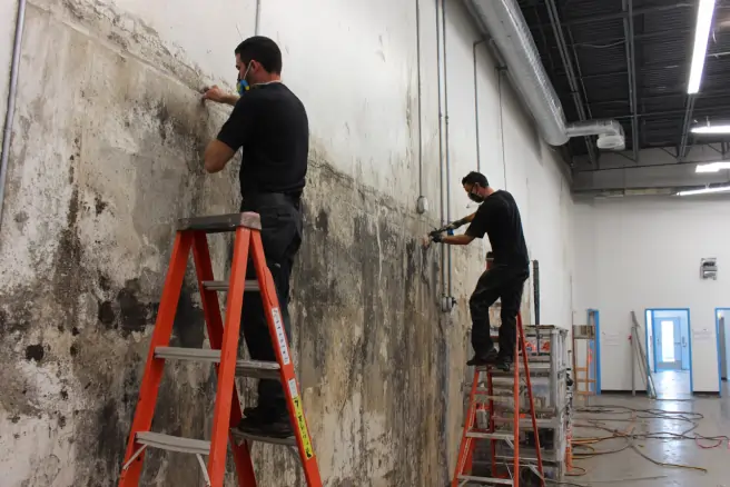 commercial mold removal